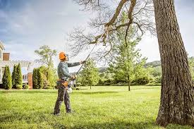 Best Tree Risk Assessment  in Fairfax Station, VA